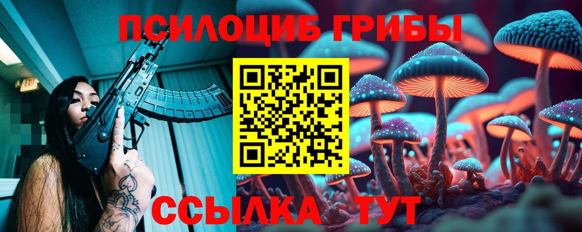 как найти закладки  Псилоцибиновые грибы Magic Shrooms  Вход с VPN  Гусев 