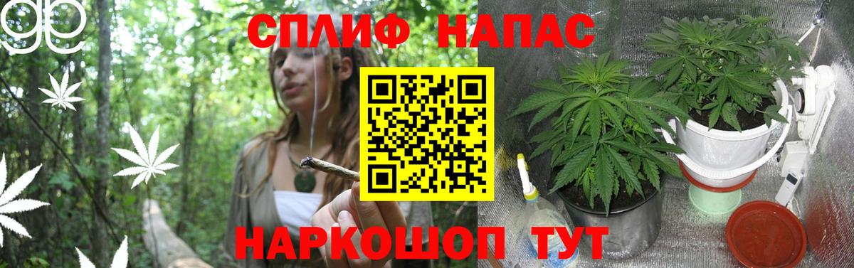 Бошки марихуана SATIVA & INDICA  Шишки марихуана VHQ  Вход с VPN  Марихуана LSD WEED  Гусев 